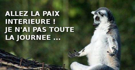 Humour : "Allez la paix intérieure ! Je n'ai pas toute la journée..." Humour : "Allez la paix intérieure ! Je n'ai pas toute la journée..."